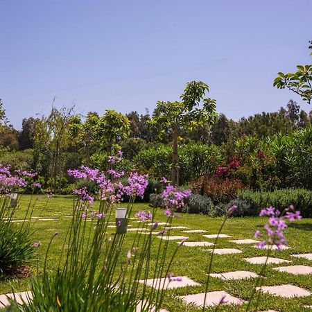 Mear Holiday Homes - Cretan Summer Getaways Kountoura Selino Exterior foto
